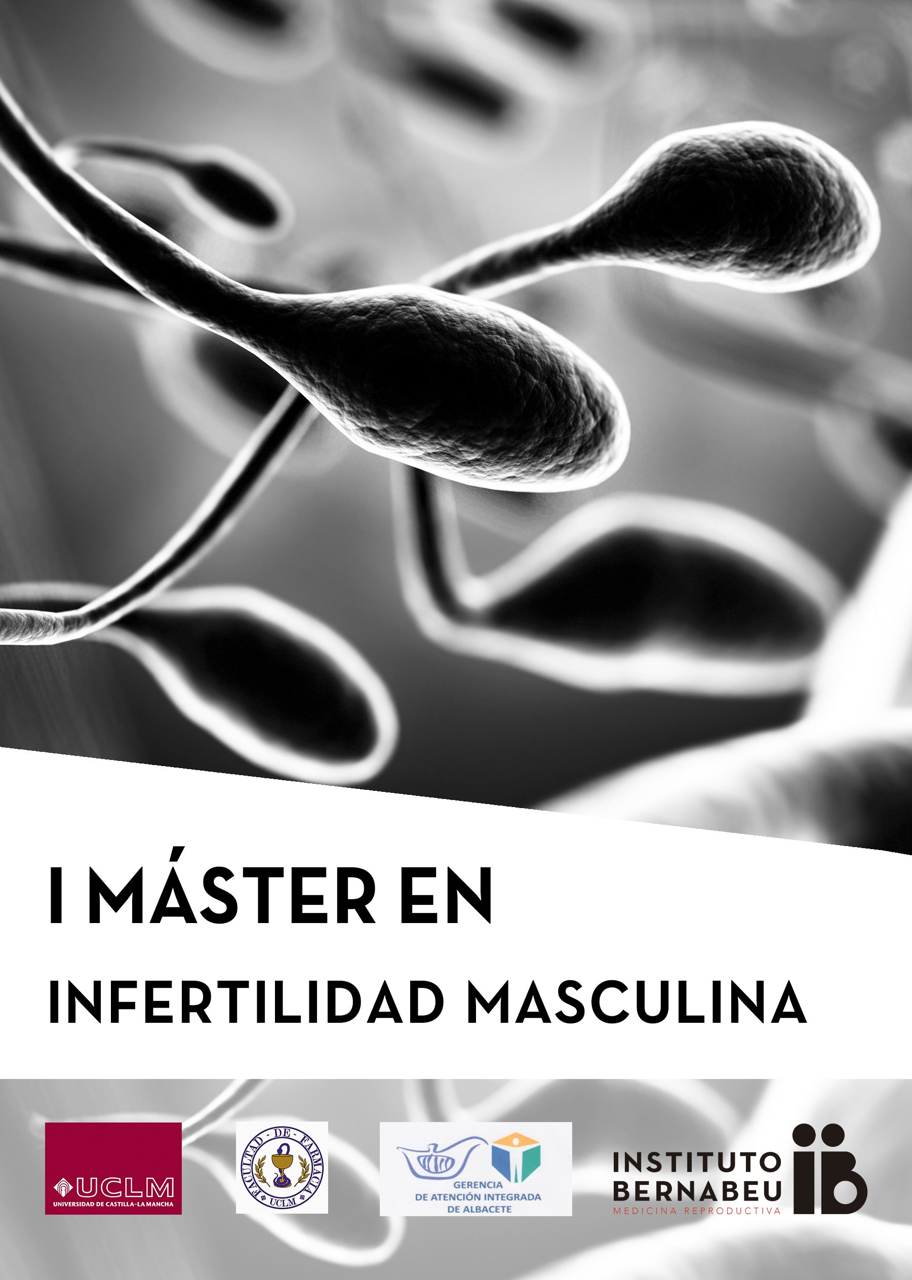 I Máster en infertilidad masculina Universidad de Castilla-La Mancha – Instituto Bernabeu