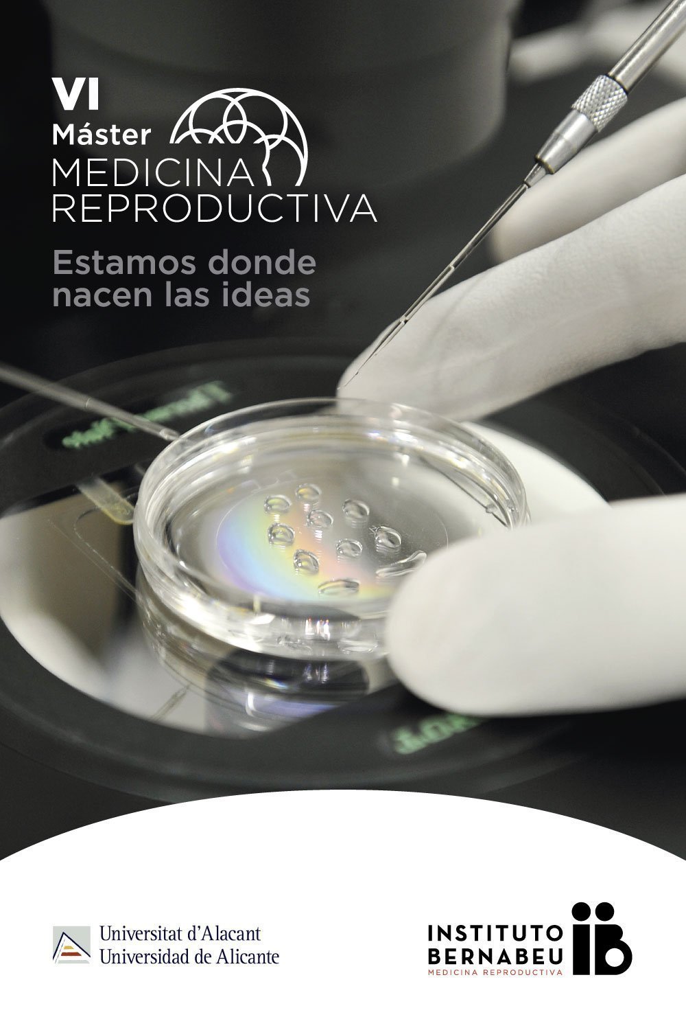 VI Máster en Medicina Reproductiva Universidad de Alicante - Instituto Bernabeu