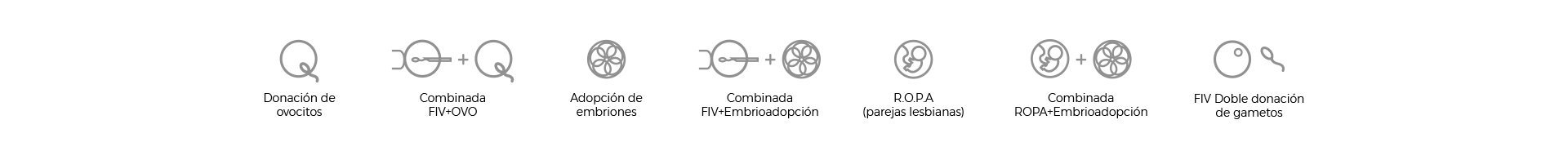 Garantía de embarazo