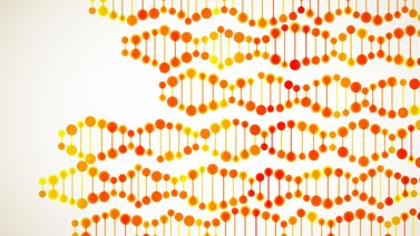 Unidad de Asesoramiento Genético y Reproductivo Unidad de Asesoramiento Genético y Reproductivo