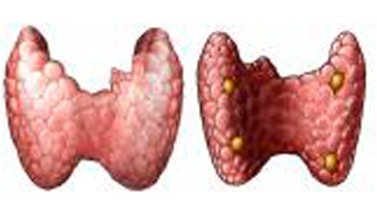 Gravidanza ed endocrinologia