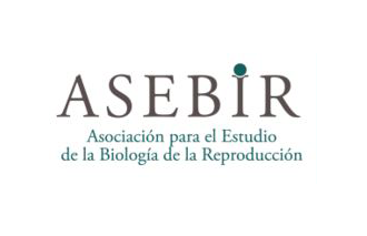 Premio ASEBIR 2013 de Investigación Básica. Otorgado a la mejor Comunicación Oral del VII Congreso Nacional ASEBIR