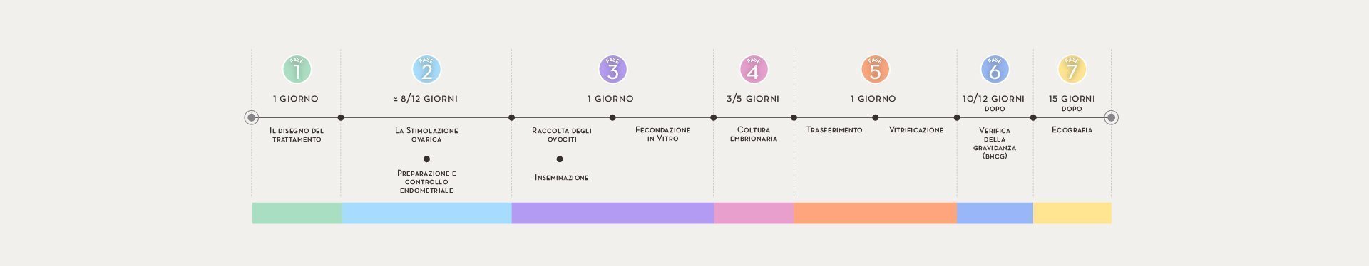 Il processo