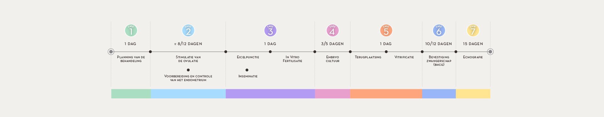 Proces van een in vitro