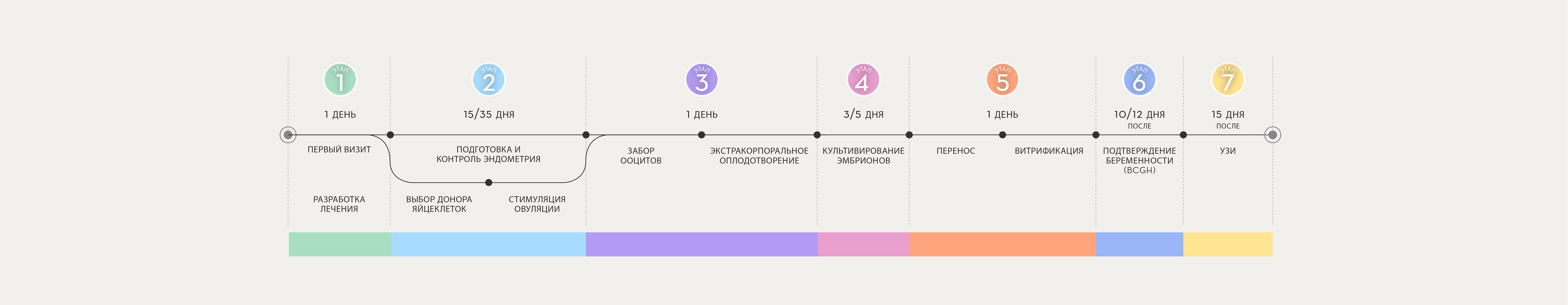 ФАЗЫ ПРОЦЕССА