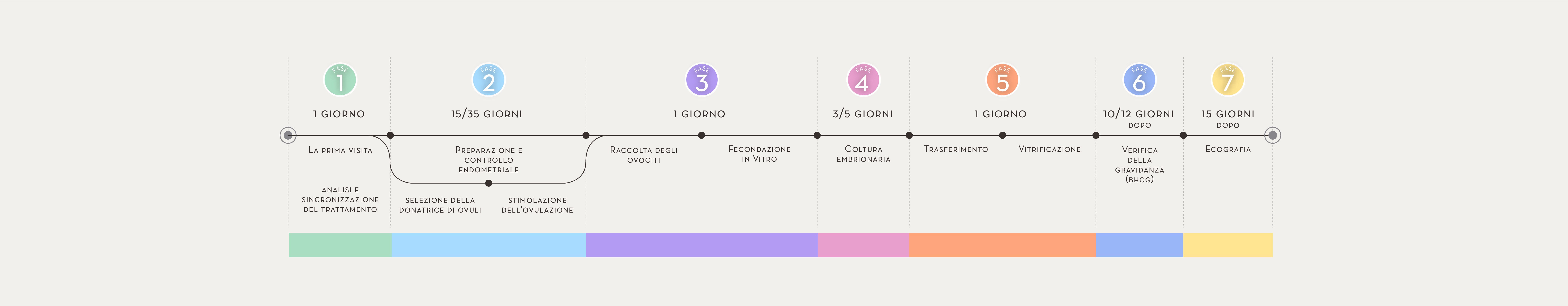 IL PROCESSO