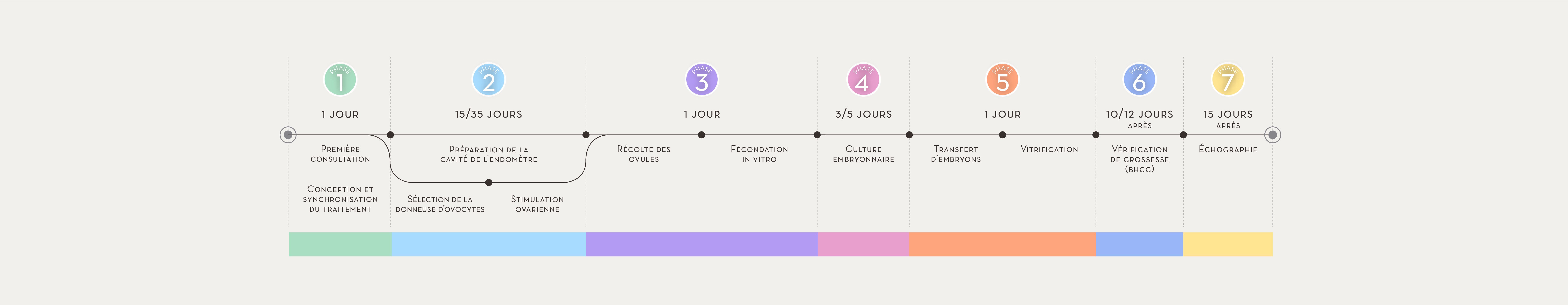 PROCESSUS