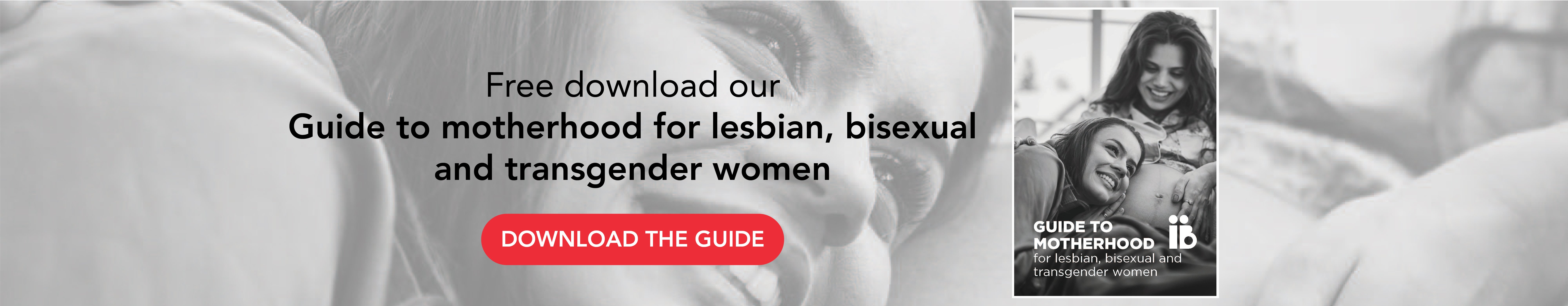 Guide to motherhood for lesbian, bisexual and transgender women - Instituto Bernabeu