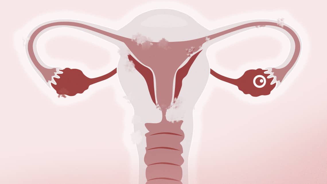 Ovulation régulière VS irrégulière