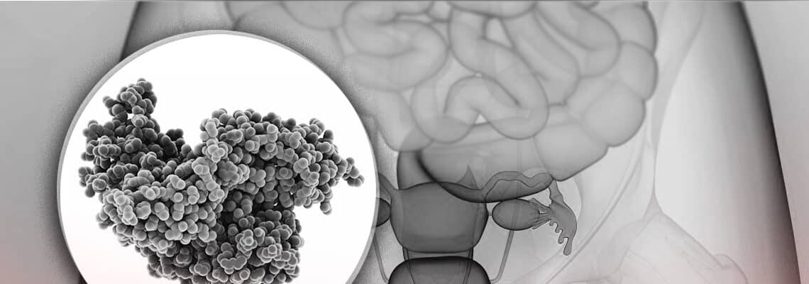 niveles de la hormona FSH en la fertilidad