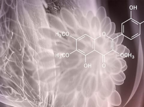 Hyperprolactinémie : excès de prolactine et fertilité