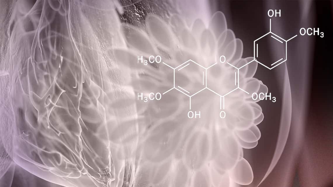 Hiperprolactinemia: exceso de prolactina y fertilidad