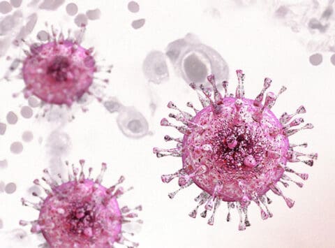 Cytomegalovirus (CMV): Was ist das? Wie wird es übertragen? Welches sind die Symptome? Wie wird es behandelt?
