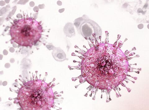 Citomegalovirus (CMV) Cos’è? Quali sono i sintomi? Come si cura?