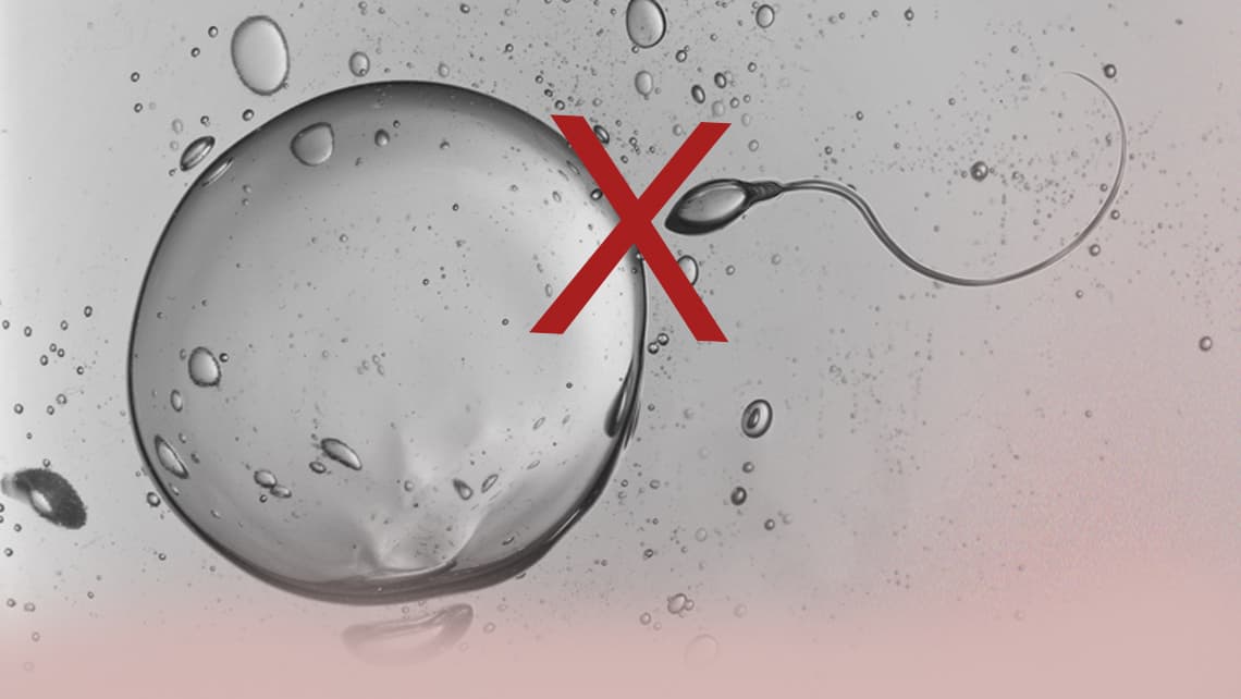 Why hasn’t my assisted reproduction treatment worked?