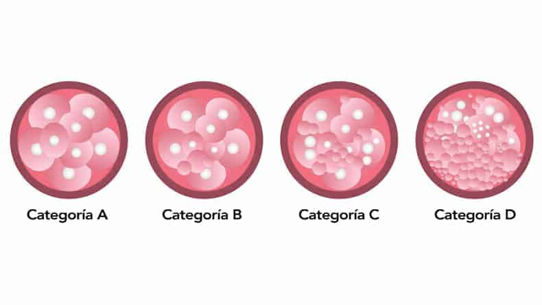 Criterios para la clasificación de los embriones