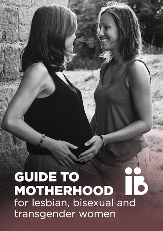 Guide to motherhood for lesbian, bisexual and transgender women