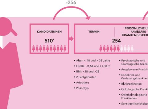 Die Auswahl der Spenderinnen und Spender am Instituto Bernabeu: Eine ganz besondere und umfassende Betreuung