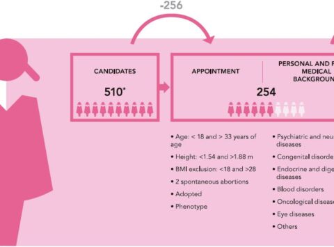 Donor selection at Instituto Bernabeu: a very special and comprehensive care