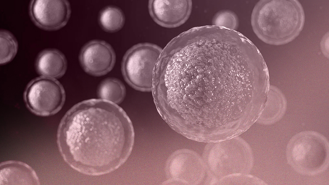 Hormona Antimülleriana (AMH): Conoce la edad de tu ovario