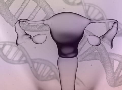 Farmacogenetica per il trattamento della bassa risposta ovarica