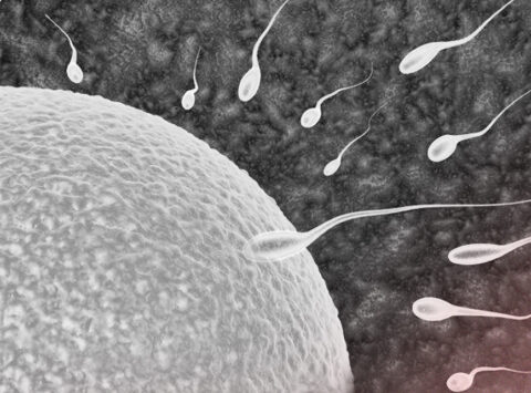 What is artificial insemination at home?