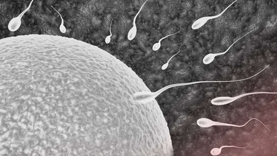 What is artificial insemination at home?