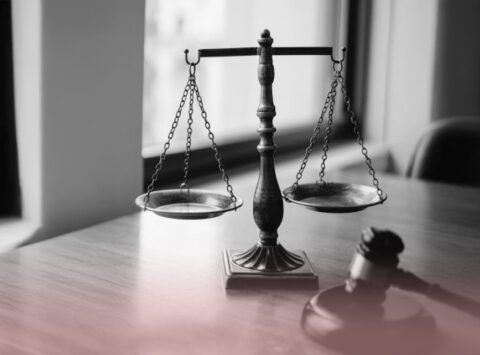 Legality of egg donation in Spain: Anonymity and confidentiality