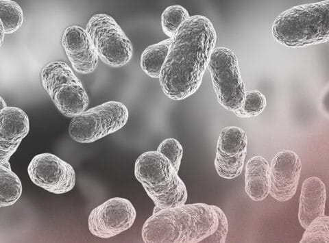 Los microorganismos que viven en ti afectan a tu fertilidad. Microbioma