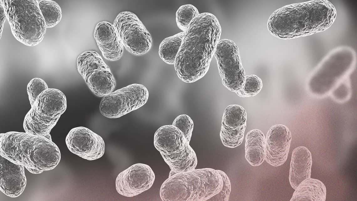 Mikrobiom: die Mikroorganismen, die in Ihnen leben, beeinflussen Ihre Fruchtbarkeit