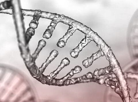 The importance of DNA in our lives: 25 April World DNA Day