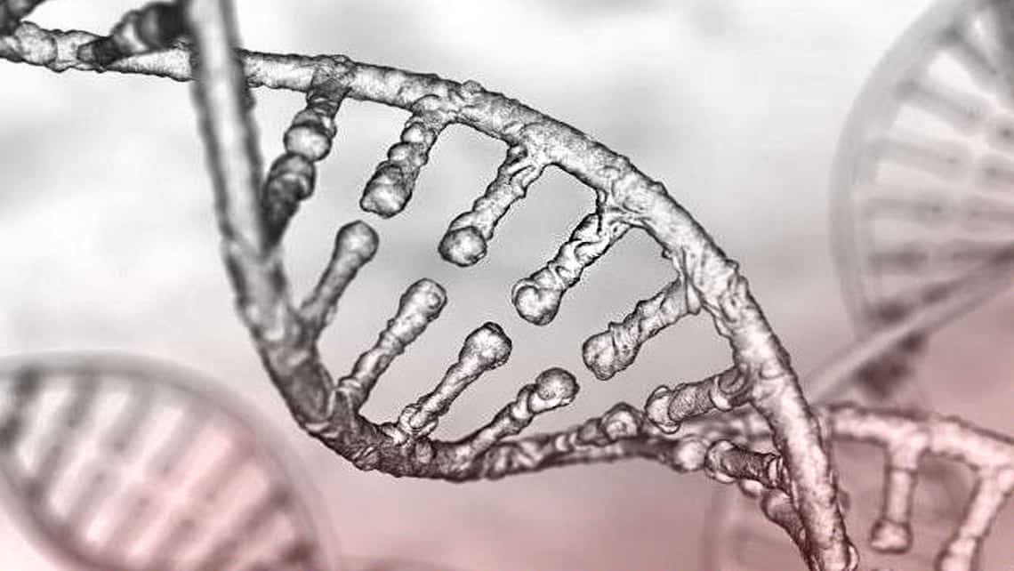 The importance of DNA in our lives: 25 April World DNA Day
