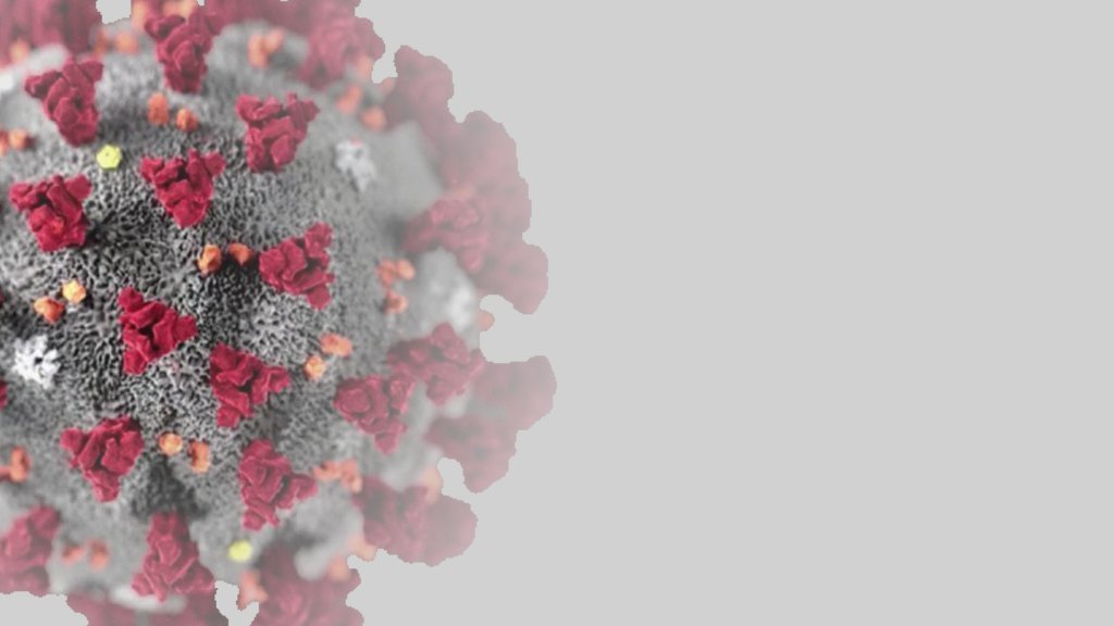 Nuevo IB BOLETÍN: Coronavirus COVID-19 Actualización del estado de nuestra actividad