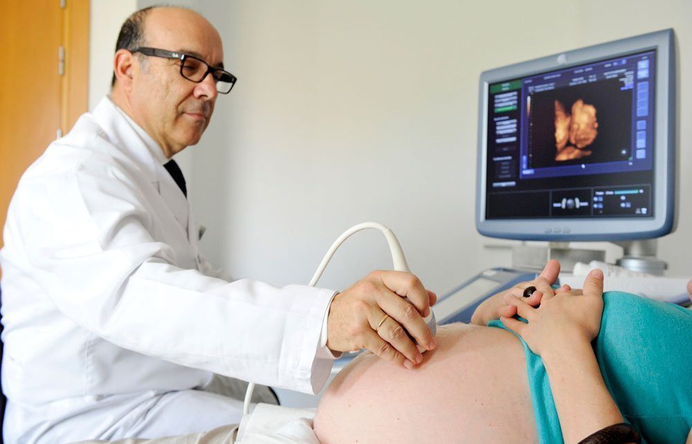 Instituto Bernabeu studies the effects of assisted reproduction techniques on placental vascularisation