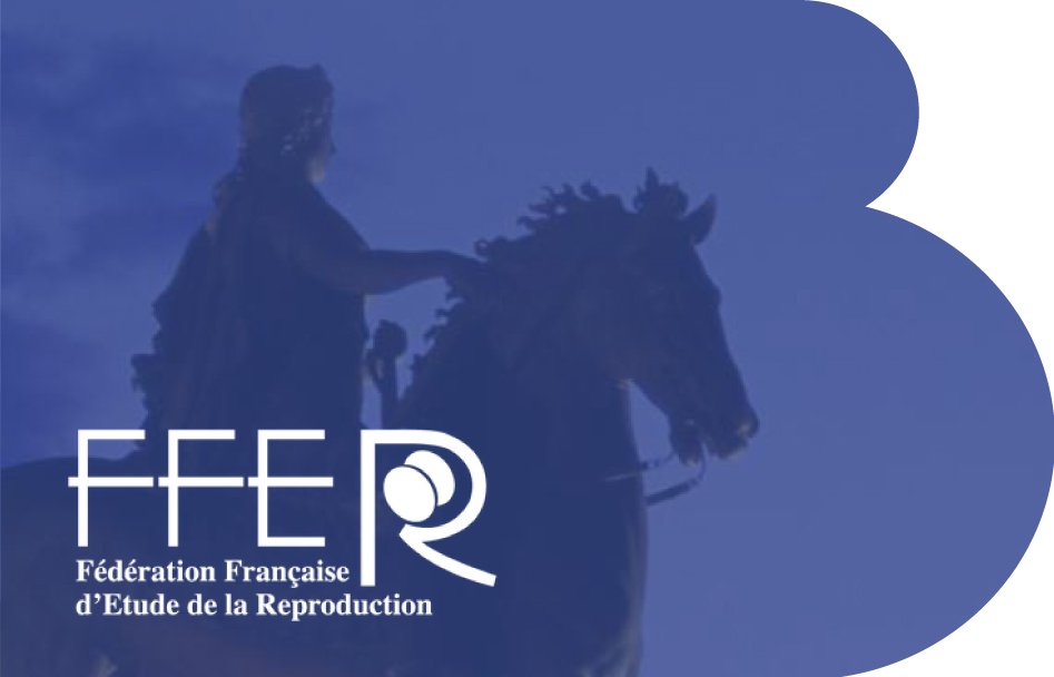 New IB Newsletter: Three pieces of scientific research accepted to the FFER infertility congress in France