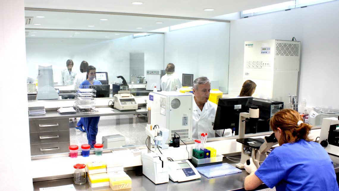 Instituto Bernabeu, a la vanguardia en investigación personalizada con sus avances en el Congreso Europeo de genética