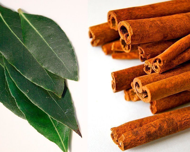 Instituto Bernabeu discovers that natural antioxidants found in bay leaves and cinnamon improve spermatozoa quality
