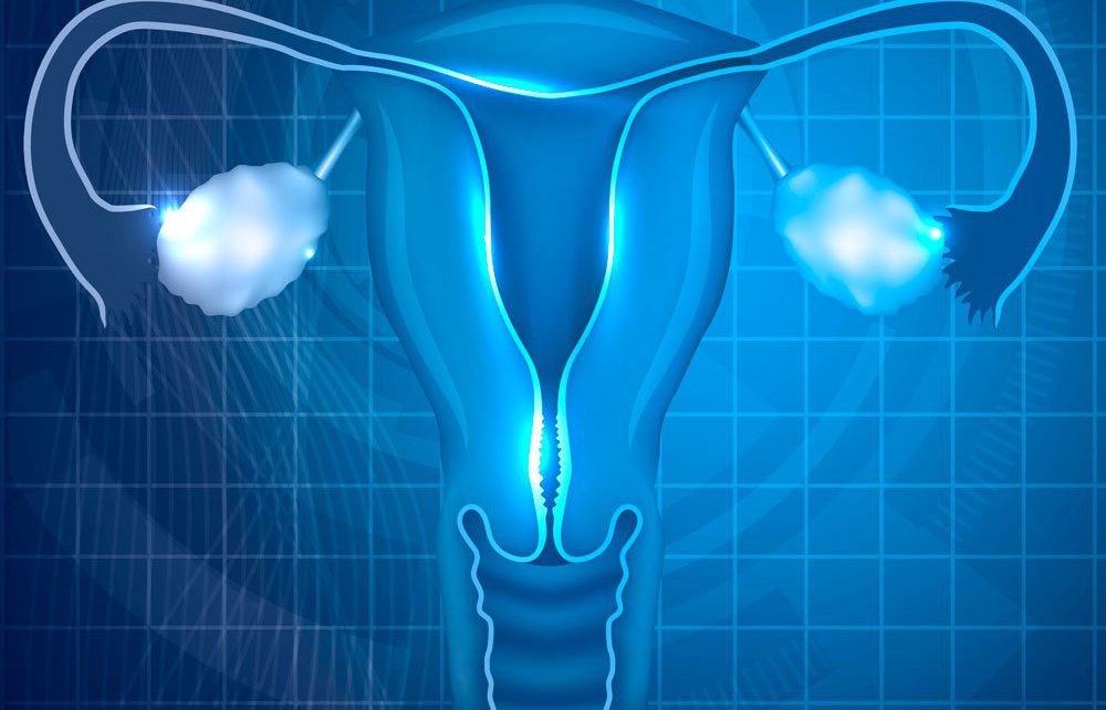 A research by Instituto Bernabeu investigates the regions that affect the vaginal and endometrial microbiome