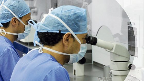 Instituto Bernabeu y la Universidad de Alicante organizan el VII Máster de Medicina Reproductiva