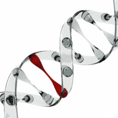 REPRODUCTIVE GENETICS GUIDANCE