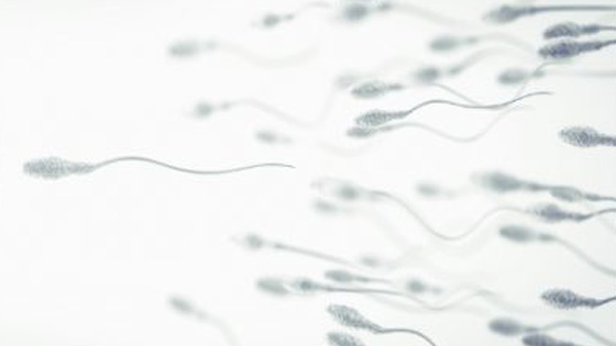 Kann Akupunktur zum Erfolg eines Zyklus‘ der In-vitro-Fertilisation beitragen?