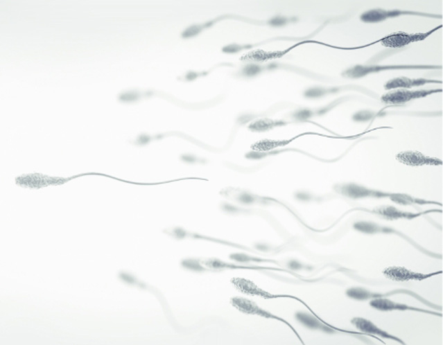 Kann Akupunktur zum Erfolg eines Zyklus‘ der In-vitro-Fertilisation beitragen?