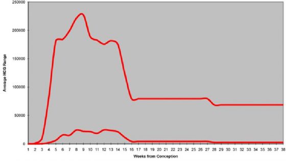 Tabella di valori Beta hCG (?-hCG)