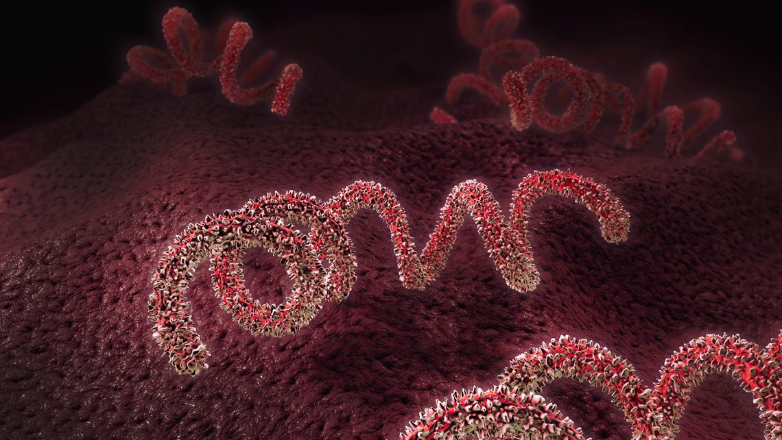 Importance of the Sexually Transmitted Diseases (STD’s) detection in sperm and egg donors