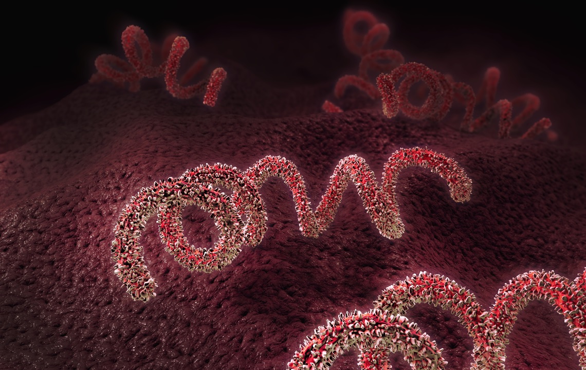 L’importance de la détection des maladies sexuellement transmissibles (MST) chez les donneurs d'ovocytes et de sperme Instituto Bernabeu