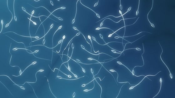 Astenozoospermia: ¿Qué es?, ¿cómo detectarla?, ¿qué tratamiento seguir para lograr embarazo?
