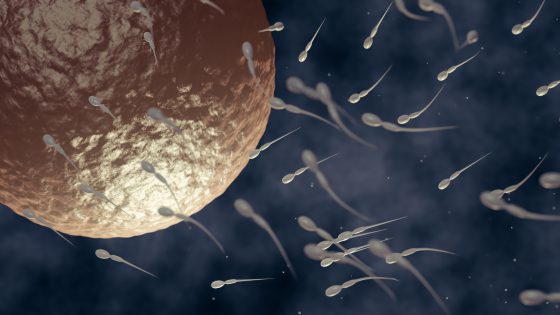 Qu’est-ce que l’insémination artificielle (IA)?