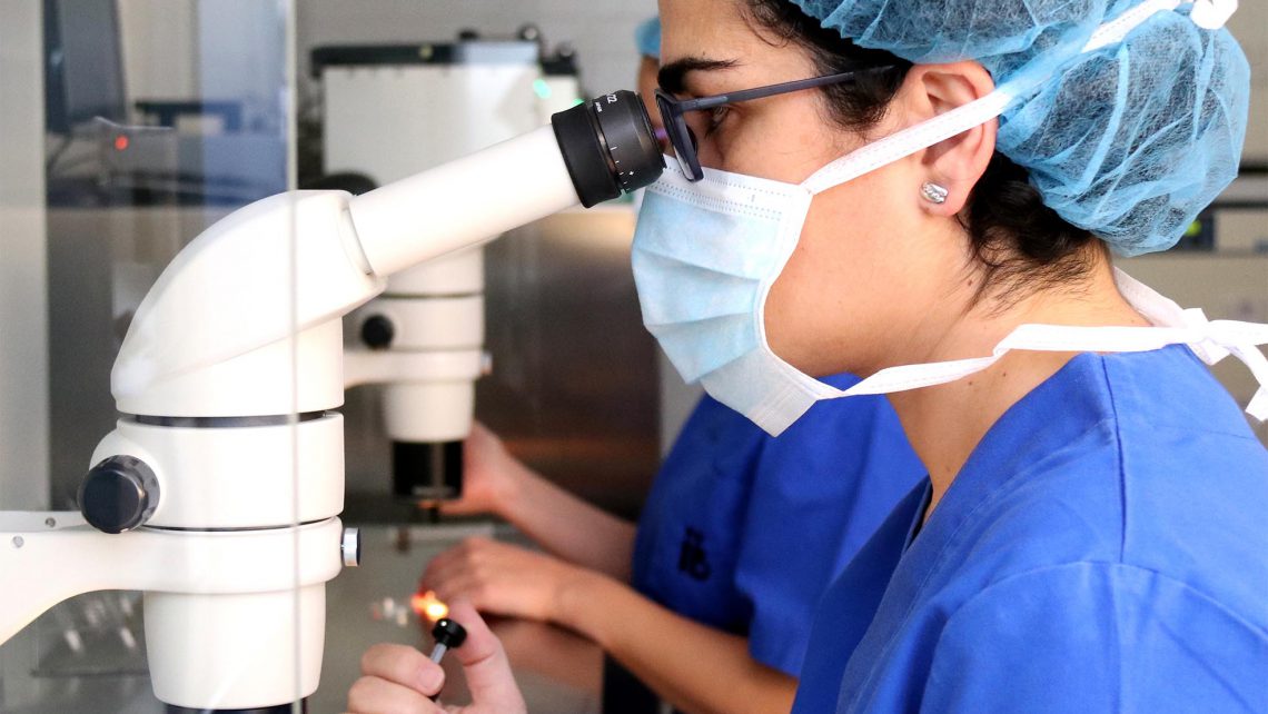 Transferencia de embriones en ciclo natural o sustituido: ventajas e inconvenientes