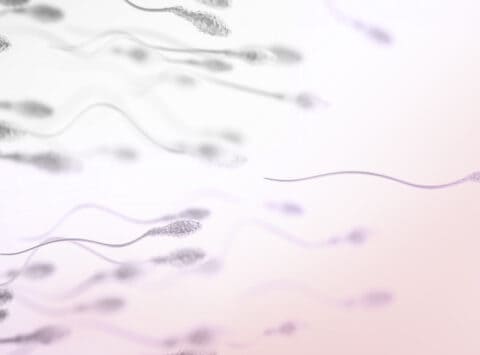 Hipospermia; ¿Qué es? ¿Cómo detectarla? ¿Cómo afecta a mi fertilidad?