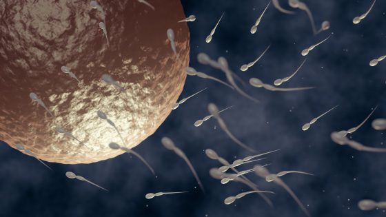 Vorgehensweise des Labors für In-vitro-Fertilisation bei Implantationsfehlern: der Embryo